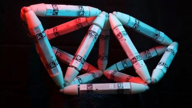 رباتی که با تغذیه از رباتهای دیگرخودش را ترمیم میکند