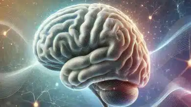 تحول مغز در طول عمر: کشف ۴ نقطه عطف کلیدی از ۹ تا ۸۳ سالگی